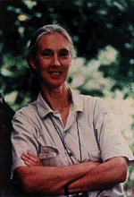 Jane Goodall