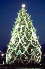 Xmas Tree