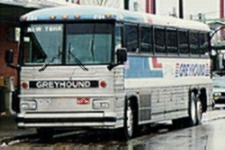 Greyhound Bus